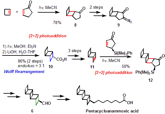 ladderane2.gif